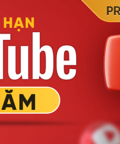 Youtube Premium + YouTube Music 1 Năm - Nâng Cấp Chính Chủ